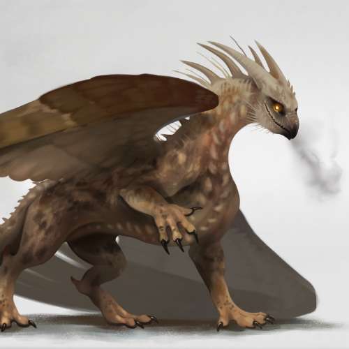 Owl dragon