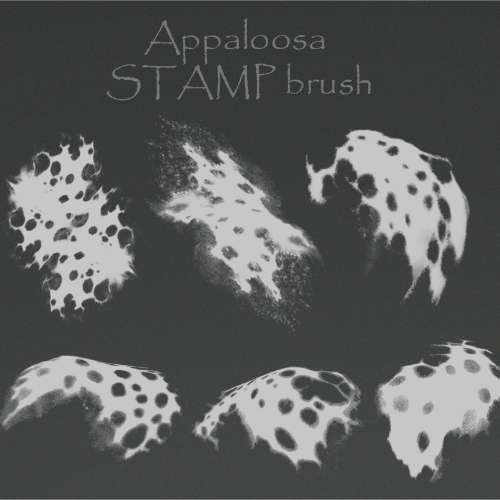 Appaloosa STAMP brush 4