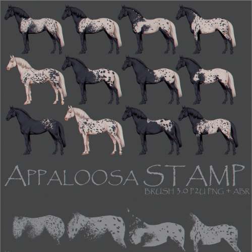 Appaloosa STAMP brush 3