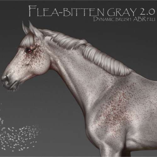 Flea-bitten gray