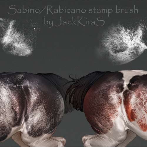 Sabino/Rabicano stamp brush 