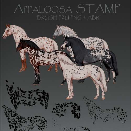 Appaloosa STAMP brush 2