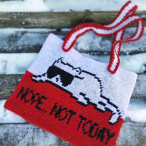 Nope, Not Today Cat Tote Bag Crochet Pattern [English]