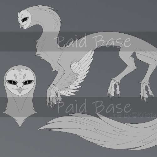 Barn owl X Asian dragon - base