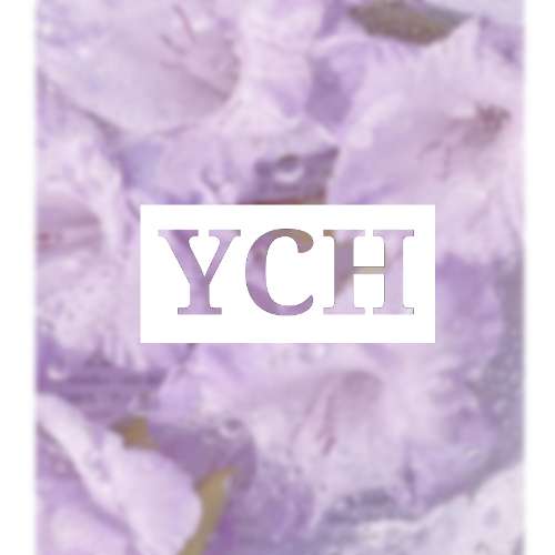 YCH 