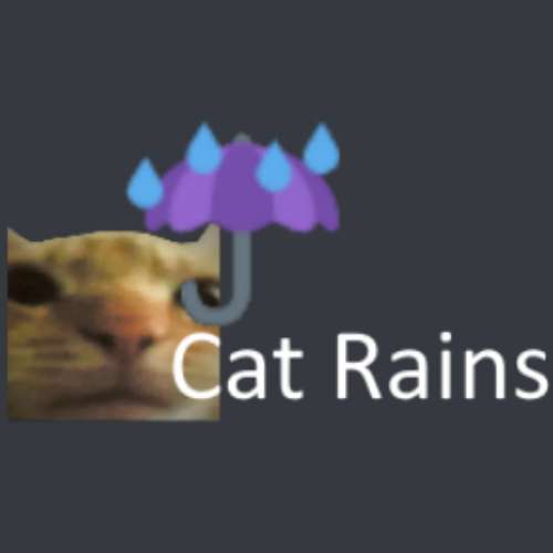 10m Cat Rain