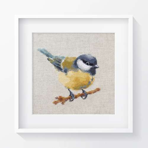 Great tit