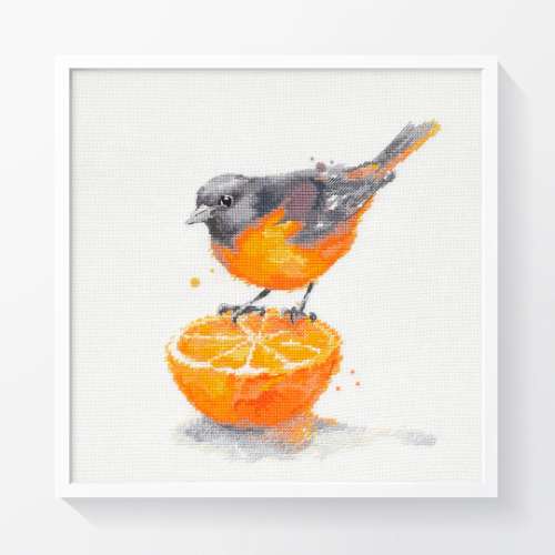 Bird and Orange