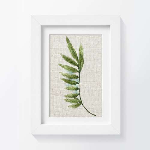 Fern