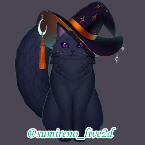 Witchy cat vtuber model for VTube Studio