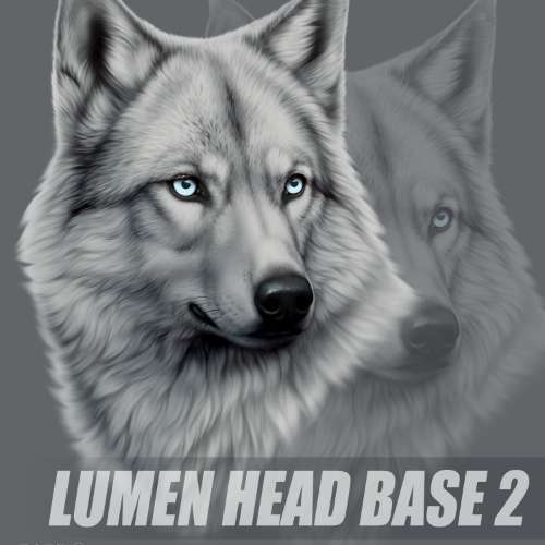 LUMEN HEAD BASE 2